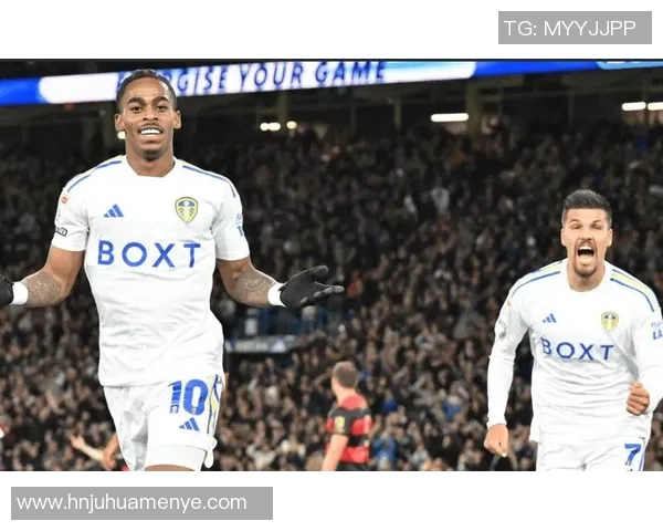 桑德兰与利兹联的精彩对决比分揭晓赛季走势分析